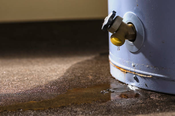 Best Carpet water damage restoration  in Richton Park, IL