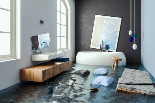 Best Sewage cleanup and water damage restoration  in Richton Park, IL