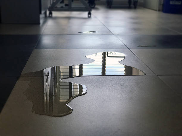 Best Water damage restoration near me  in Richton Park, IL