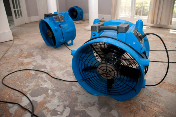 Best Basement water damage restoration  in Richton Park, IL