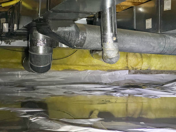 Best Basement water damage restoration  in Richton Park, IL