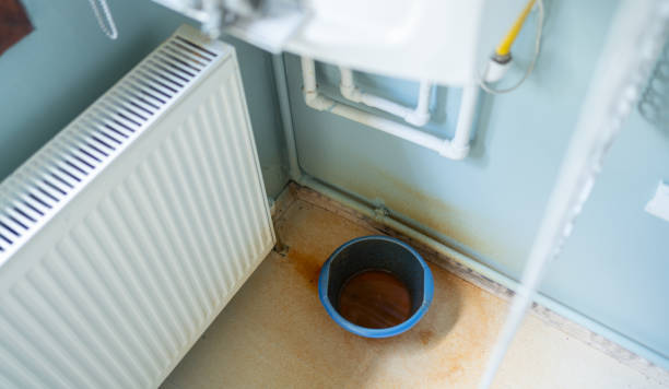Best Water damage restoration company  in Richton Park, IL