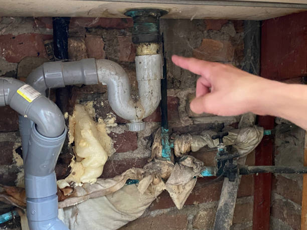 Best Flood restoration services  in Richton Park, IL