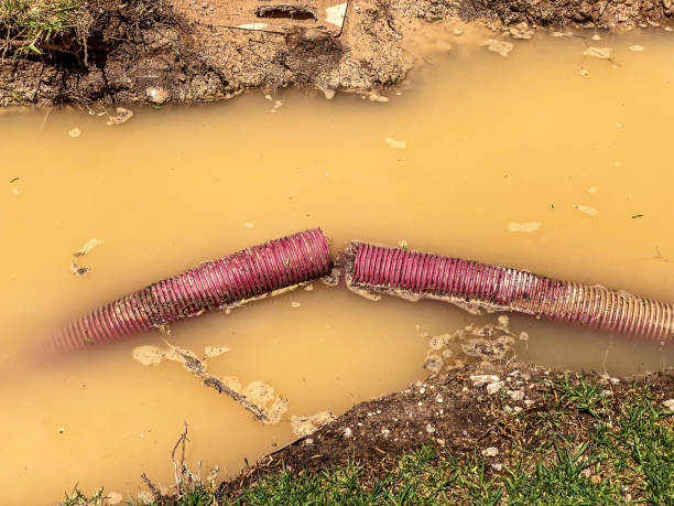 Best Water damage mitigation services  in Richton Park, IL