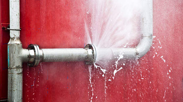Best Water damage restoration cost  in Richton Park, IL